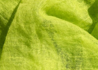 Yazemeenah Cashmere Shawl in Lime